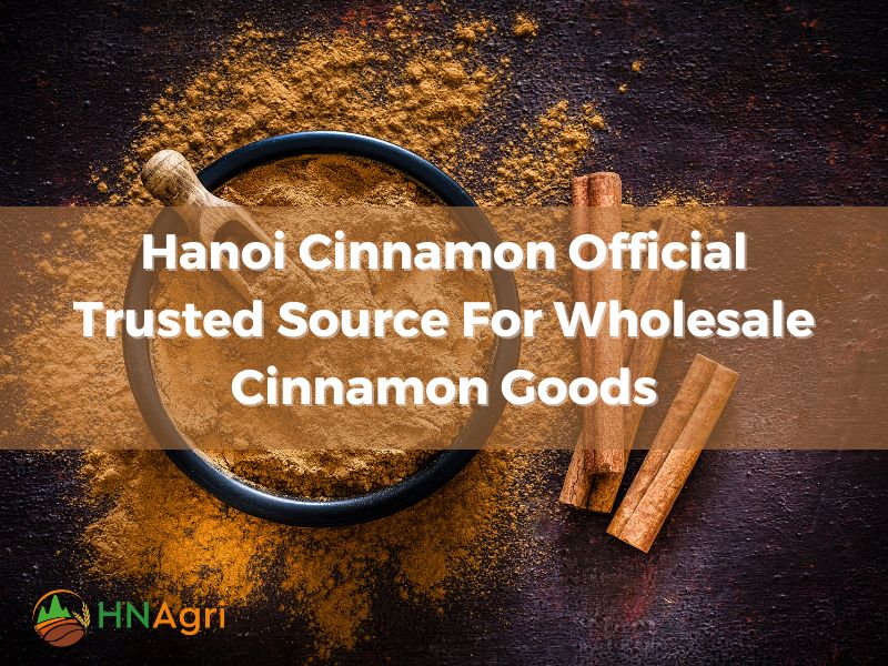 hanoi-cinnamon-official-trusted-source-for-wholesale-cinnamon-goods