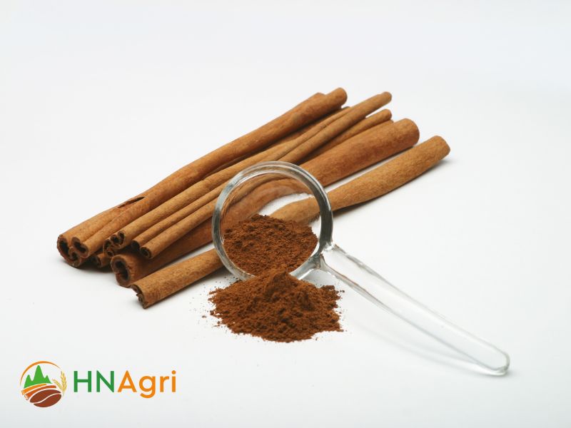 discover-the-potential-of-cinnamon-powder-the-versatile-spice-2