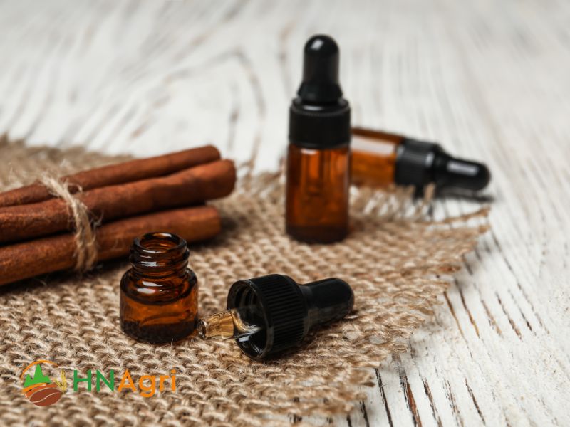 cinnamon-oil-from-ancient-remedy-to-modern-marvel-3